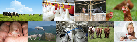 Pruex aim to lead the fight against Antimicrobial Resistance (AMR) and environmental pollution.